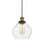 Luminaire suspendu en forme de cloche à 1 lumière Chillum