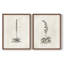 «Vintage Floral LX», impression giclée sur cadre - ensemble de 2-1949401034-1949401035