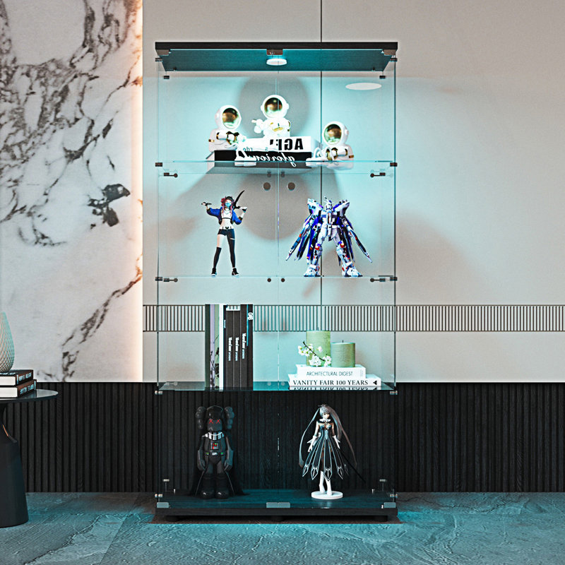Armoire d'entrée, vitrine à deux lumières à DEL et bibliothèque au sol, Noir