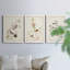 Pl. 194 Canadian Titmouse - Ensemble de 3 reproductions d'art sur toile-820057464-820057459