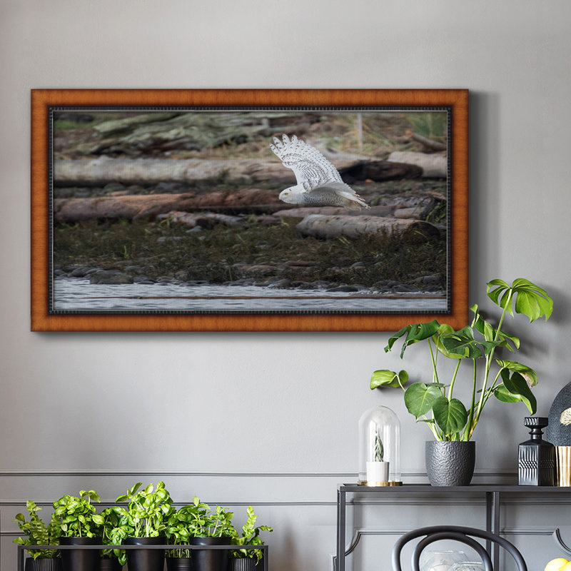 Solo Flight - Reproduction de photo sur toile, H 25 po x l 45 po x P 2,5 po