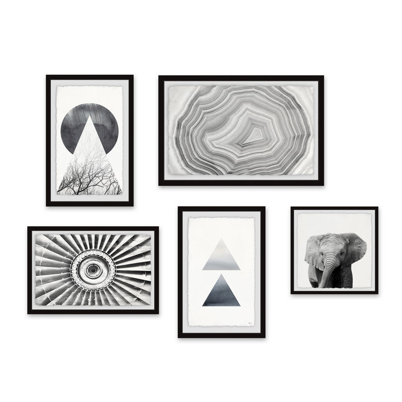 Alleana 'African Wonders Pentaptych