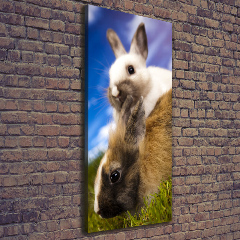 Two Rabbits - Wrapped Canvas Print