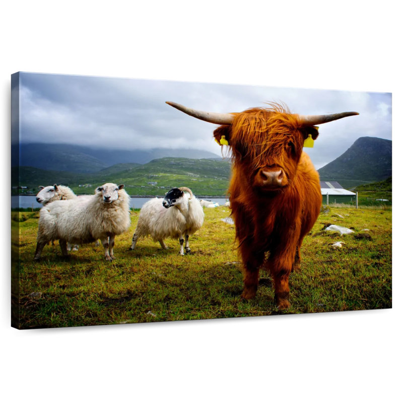 Brampt Highland Cow and Friends, H 8 po x l 12 po