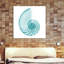 Turquoise Sea Shell - Wrapped Canvas Print-1616621495