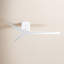 Eliza Ceiling Fan-2106141867-2106266344