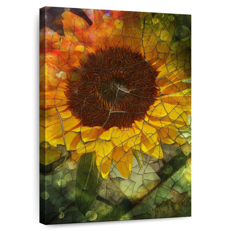 Tournesol Harnek, H 36 po x l 24 po
