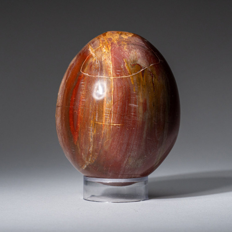 Petrified Wood Egg, 2" H x 1.75" W x 1.75" D, Orange/Yellow/Brown