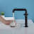 Widespread 2-handle Bathroom Faucet