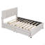Upholstered Platform Bed With 2 Drawers And 1 Twin XL Trundle, Classic Headboard Design-1810347023-1810347017