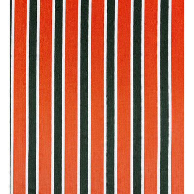 Rhapsody Fabric