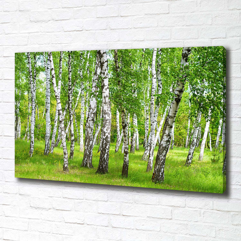 Birch Forest - Wrapped Canvas Print