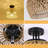 Rattan Semi Flush Mount