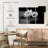 Harnek Monochrome Water Lilies-107993008