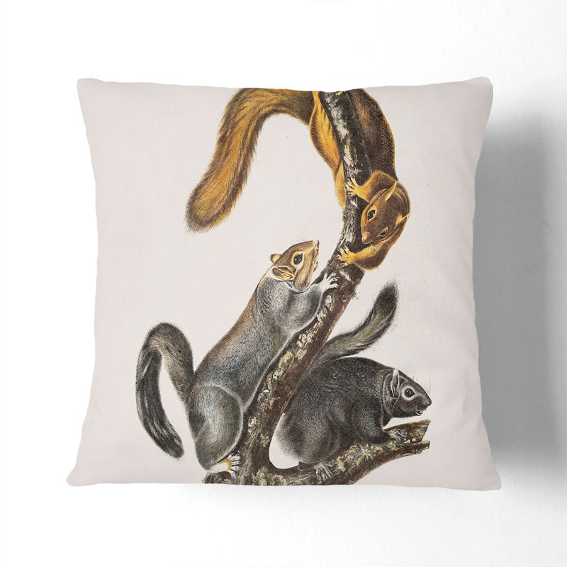 Square Throw Cushion, 55cm H x 55cm W x 20cm D