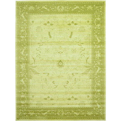Amika Oriental Indoor Rug