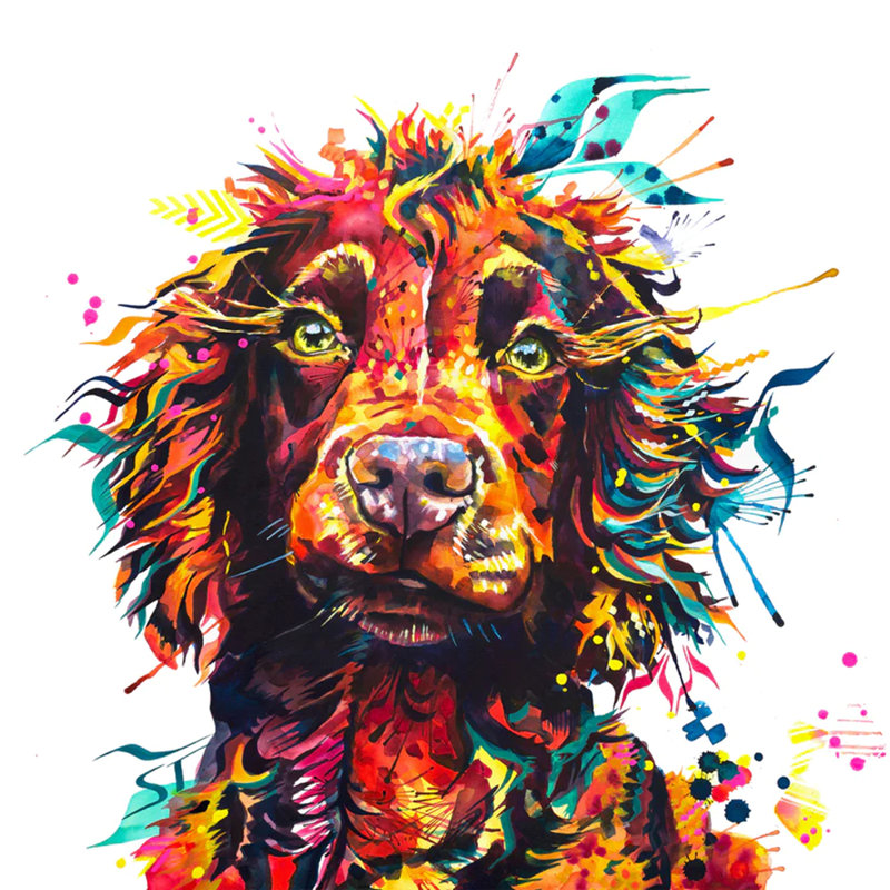 Teddy the Cocker Spaniel Dog - Wrapped Canvas Art Prints from Sarah Taylor Art, 70cm H x 70cm W
