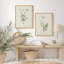«Vintage Botanical Herb Study», ensemble de 2 reproductions d'art mural encadrées - Illustration de plante verte minimale pour la salle à manger de la cuisine-125120337-125120333