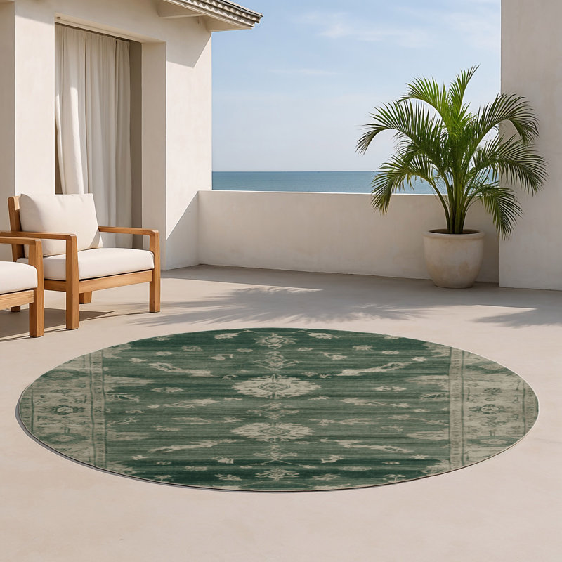 Overdyed Brown Indoor and Outdoor Area Rug, Round 5'
