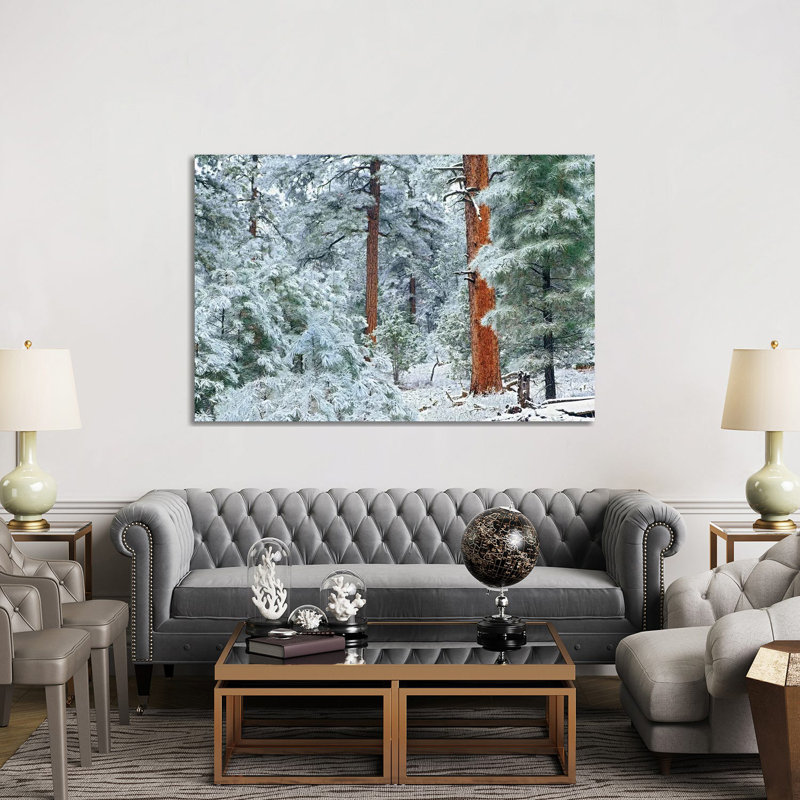 Ponderosa Pine Trees With Snow, Grand Canyon National Park, Arizona I by Tim Fitzharris - Wrapped Canvas Print