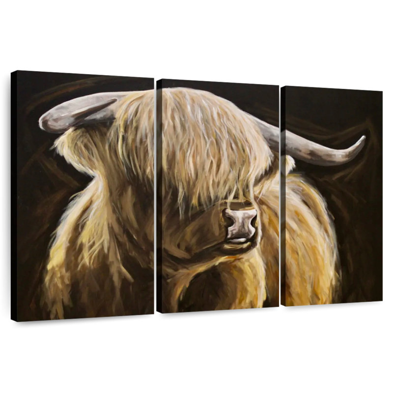 Brampt Highland Cow sur fond noir I, H 24 po x l 38 po