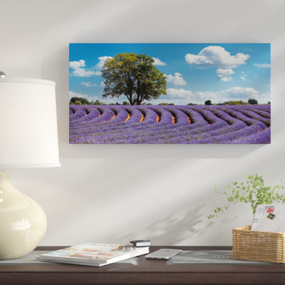 " Lavender Field In Provence; France "