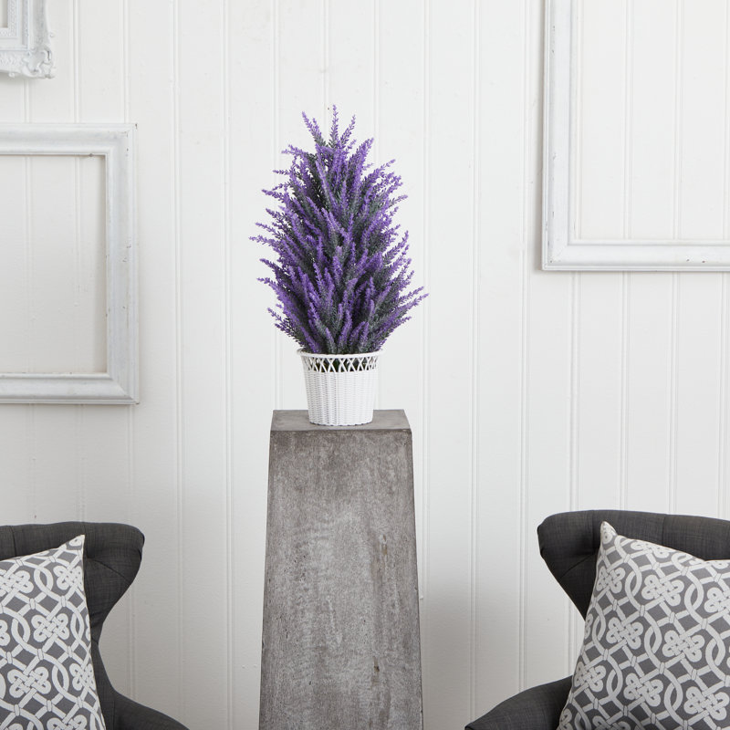 Arrangement floral lavande dans un pot de fleurs