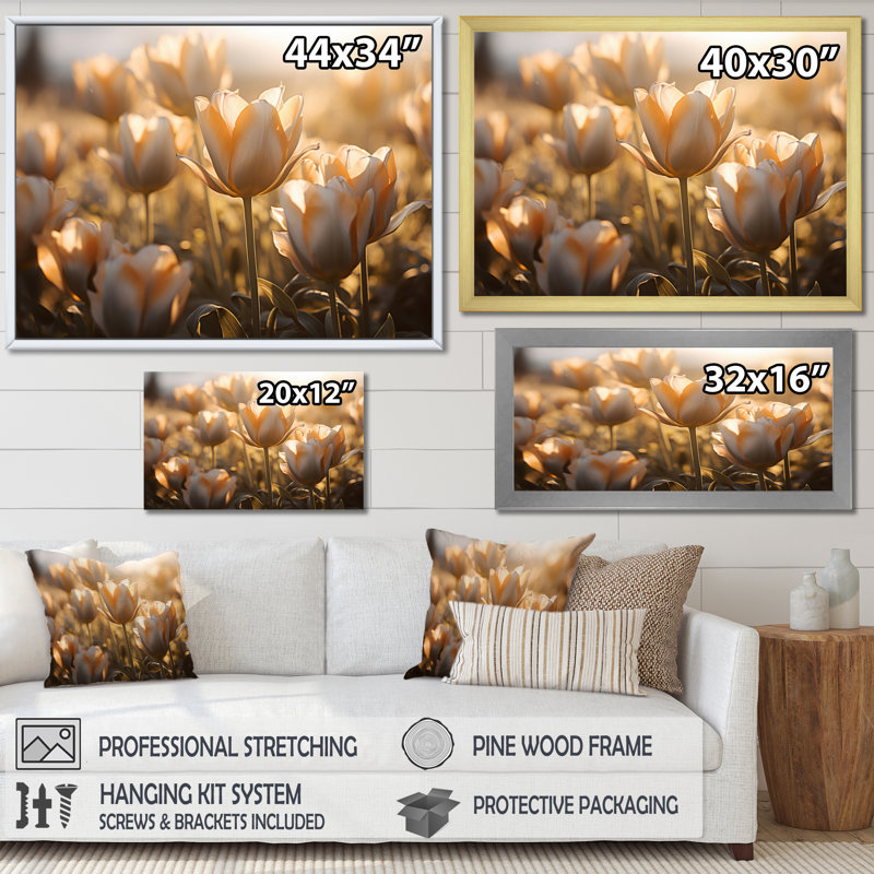 White Tulips Field With Sunshine - Floral Canvas Wall Art52, Noir, H 30 po x l 40 po x P 1,5 po