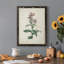 Toile encadrée de qualité supérieure Traditional Botanical II - prête à être accrochée-98786596-98786597