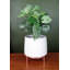 Ceramic Plant Pot