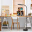 Litespan Slim 55 in. Industrial Dimmable LED Directional Task Floor Lamp, Black Finish-62954092