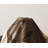 Pastora 7 Piece Short Plush Leaves Print Polyester Comforter Set-22386516-59942669