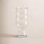 Craft Beer Glass
