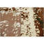 Hand Knotted Area Rug in Ivory