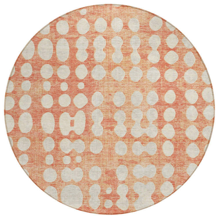 Zakye Indoor / Outdoor Rug