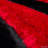 Indoor Rug-2103028579