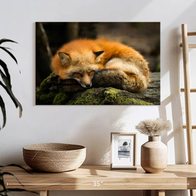 Sleeping Yellow Fox