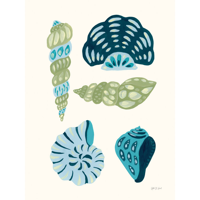 Ma collection de coquillages tropicaux II par Yvette St. Amant, H 24 po x l 18 po