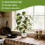Arbre artificiel plante tropicale, pot de fleur blanc, arbre artificiel, bureau à la maison, salon, maison de campagne, arbre décoratif moderne, pas d'arrosage, arbre artificiel