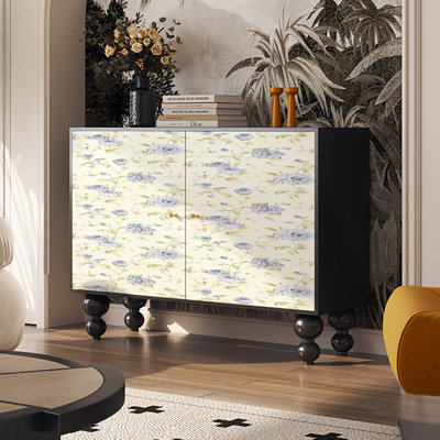 Modern decor double doors home storage cabinet