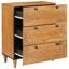 60cm Solid Wood Sideboard-2128619930