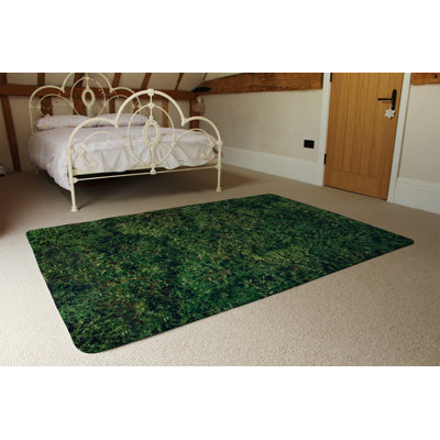 Jainee Area Rug