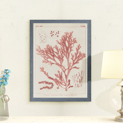 " Antique Coral Seaweed I " by Paul Cezanne