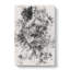 The Proud Lion - Wrapped Canvas-56637000
