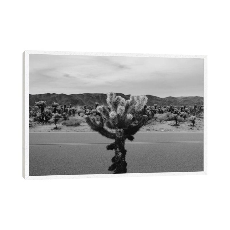 Cholla Cactus Garden XVII by Bethany Young - Print on Canvas, 45.72cm H x 66.04cm W x 3.81cm D, White Framed