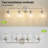 Karlei Dimmable Vanity Light with Hand Blown Glass Globe Shade-1681131593-1682869785-1682827100