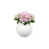 Rose / blanc