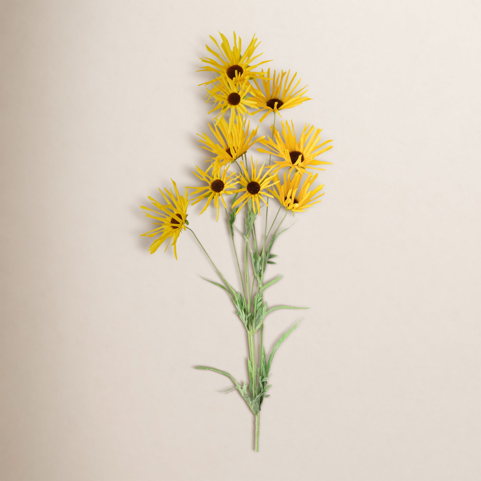 Daisy Floral Stems, Yellow