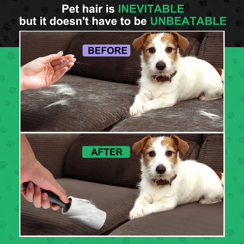 Cleaning Best Way To Get Dog Hair Off Of Couch Scraper Removing