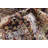 Bellona Ikat Indoor Rug-40276107